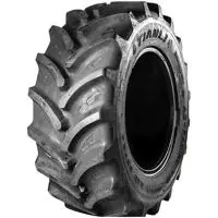 Tianli AG Radial R-1W 380/90 R46 173B