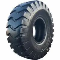 XCMG XG816 L-3/E-3 16/70 R20 165A2